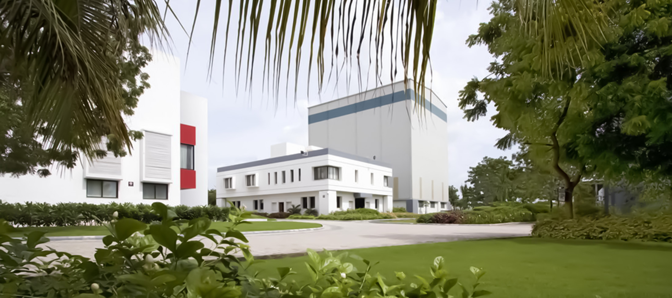 The Chronicle of Rajoo Group