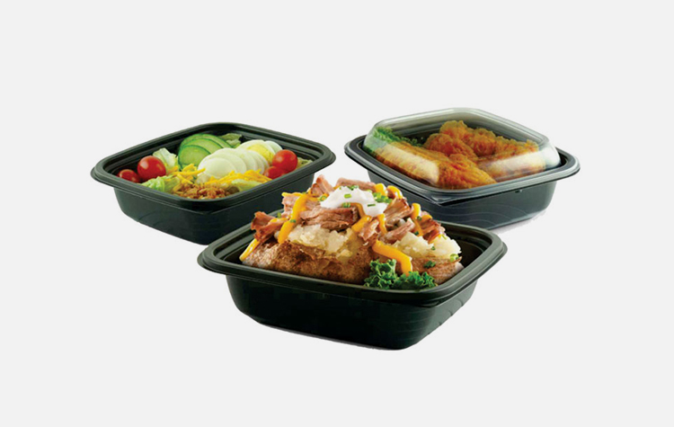 Disposable Food Plate with Lid