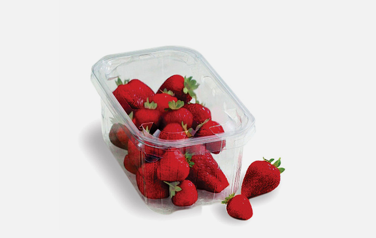 Thermoformable Sheet for Food Packaging